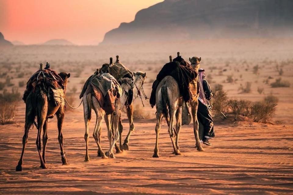 Tamim Luxury Wadi Rum Camp Exteriér fotografie